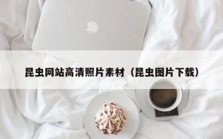 溧阳昆虫网站高清照片素材（昆虫图片下载）